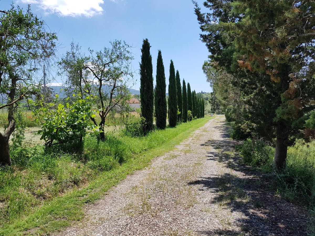 Agriturismo Bio Le 4 Stagioni Porrona Exterior foto